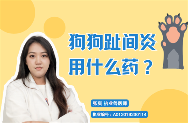 狗狗趾间炎怎么治疗？