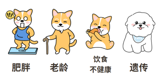 狗狗心脏肥大喘气急促