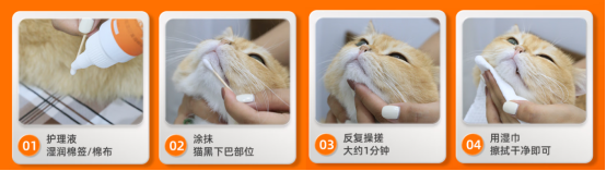 猫咪黑下巴怎么彻底清除？