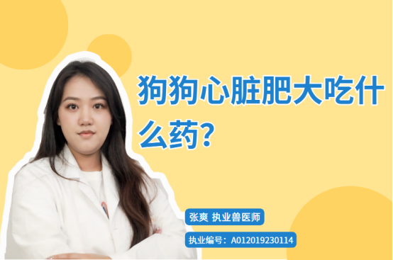 狗狗心脏肥大吃什么药？
