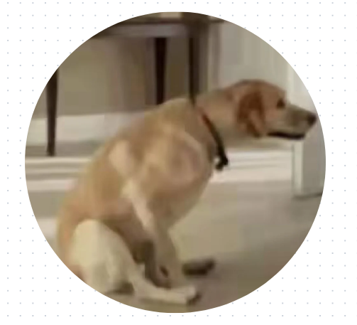 狗狗屁股红肿用什么药？