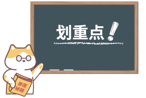 如何清除猫咪黑下巴？
