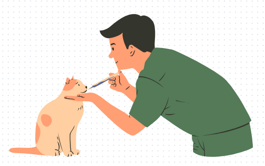猫咪拉出白色长条虫子吃什么药？