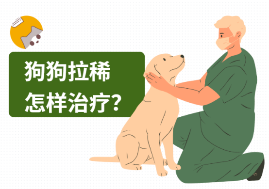 狗狗拉稀怎样治疗？