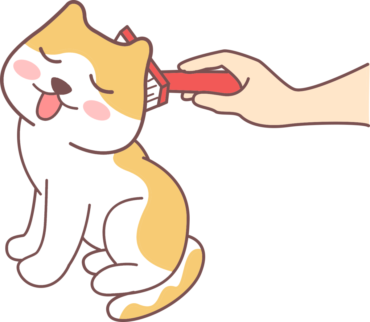 猫咪梳毛的好处