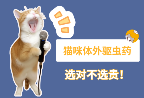 猫咪体外驱虫药哪种好？