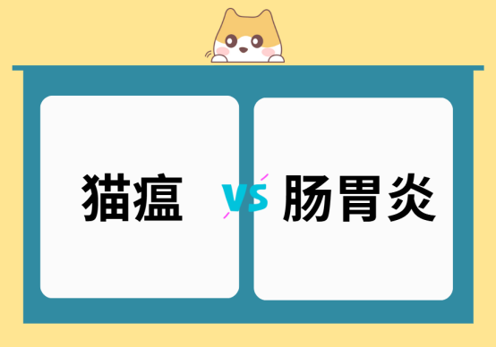 猫瘟和肠胃炎的区别