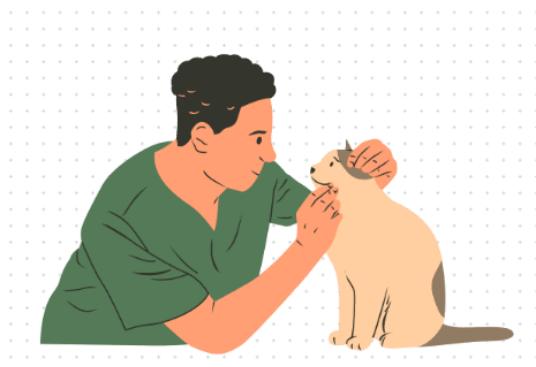 猫肠胃炎