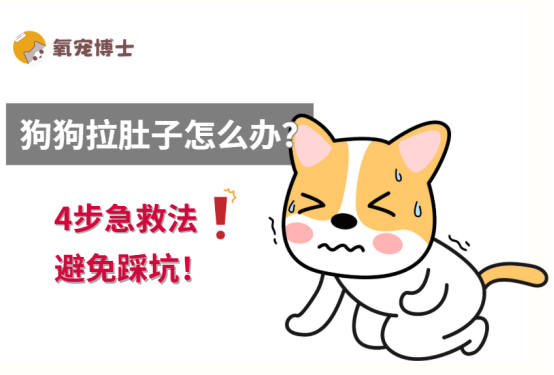 狗狗拉肚子怎么办？
