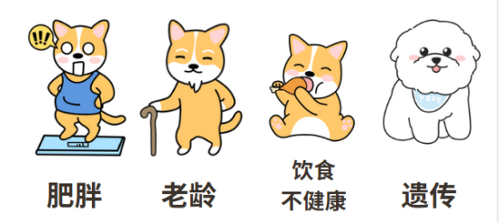 狗狗心脏病会引起咳嗽吗？