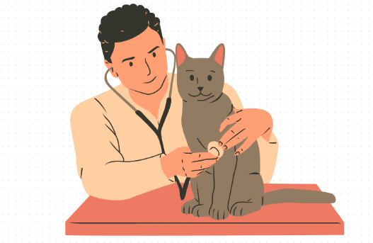 猫咪感染猫鼻支怎么治疗