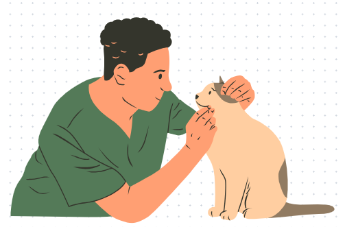 猫呕吐吃什么药效果好？
