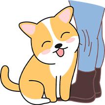 幼犬常见疾病应对