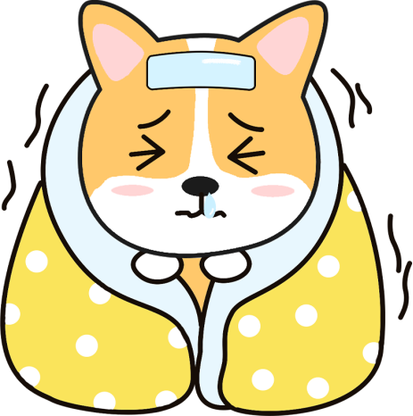 狗狗生产后要注意什么