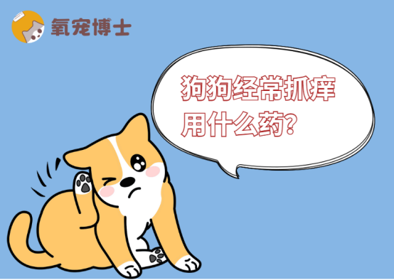 狗狗经常抓痒用什么药
