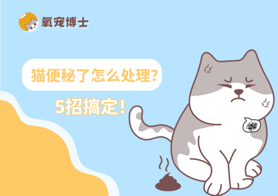 猫便秘了怎么处理？