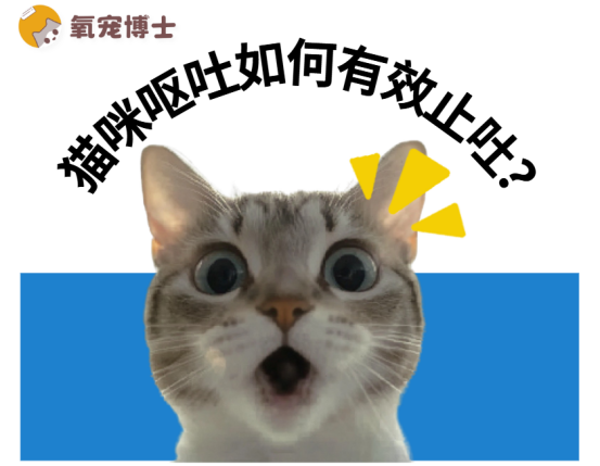 猫咪呕吐最有效的止吐办法