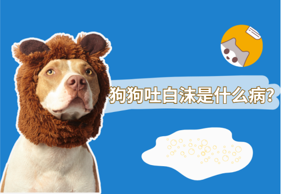 狗狗吐白沫是什么病？应该怎么办？