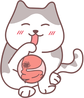 猫便秘的原因