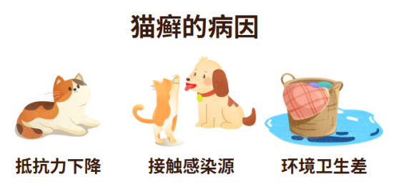 猫癣能自愈吗？