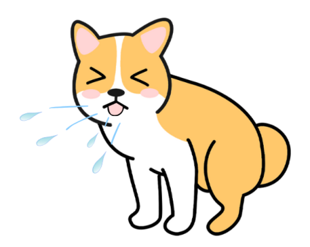 狗狗感冒了怎么办？