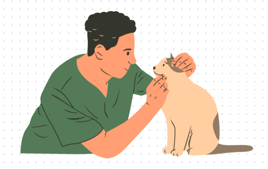猫拉肚子最快的解决方法