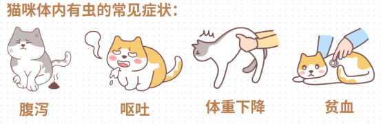 猫拉肚子怎么回事