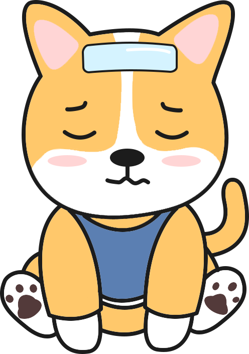 狗狗感冒