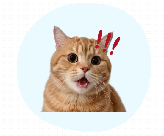 猫鼻支好不好治？