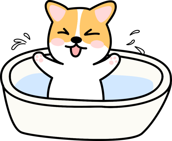 狗狗真菌感染