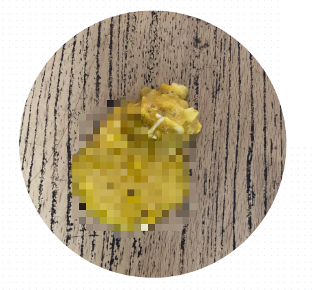 泰迪狗狗吐黄水带泡沫怎么回事？