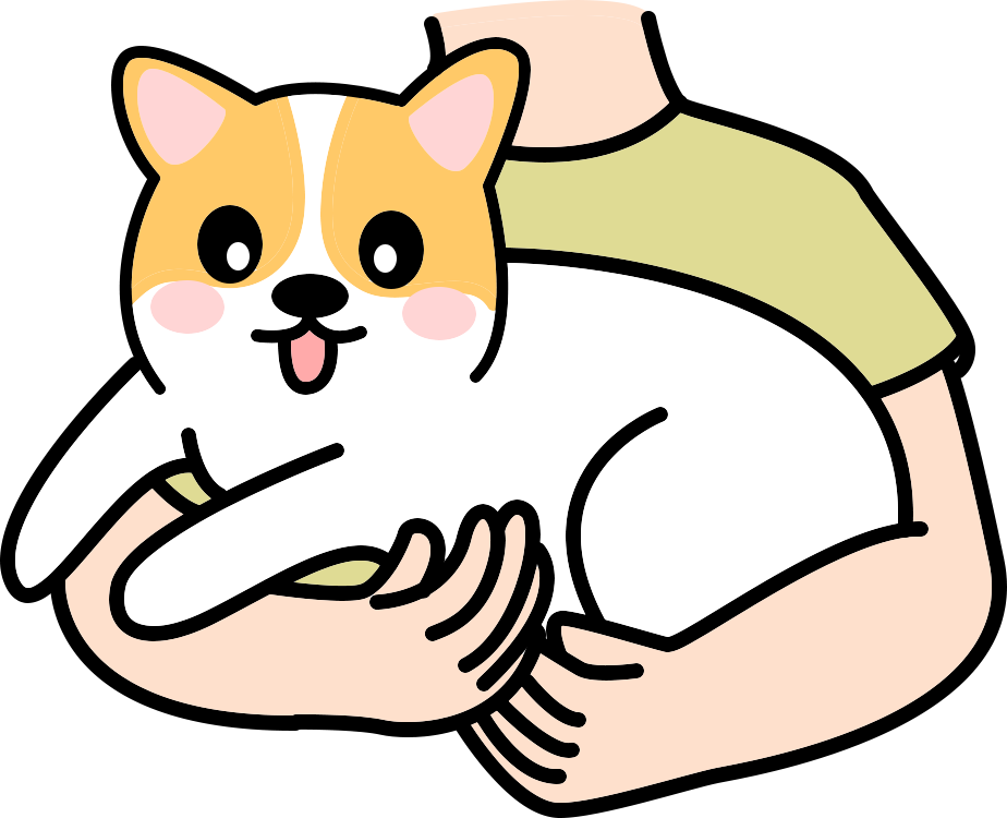 犬类健康防护