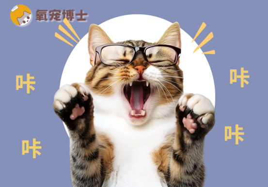 猫咪咳嗽嗓子哑了怎么办？
