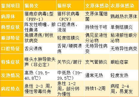 怎么判区分猫鼻支？