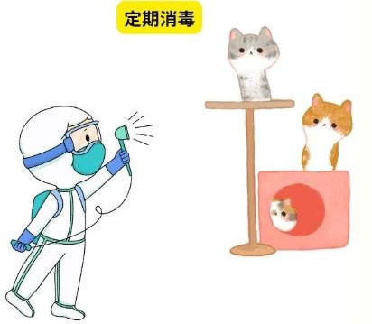 狗洗澡