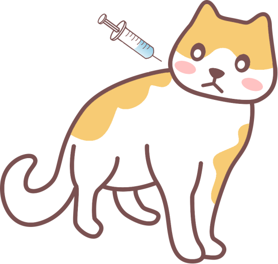 猫咪咳嗽嗓子哑了怎么治疗？