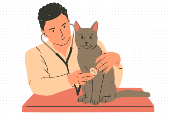 猫咪嗓子哑了怎么办？
