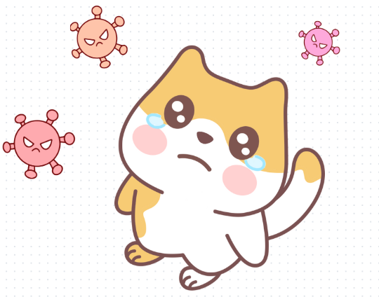 猫鼻支的病因