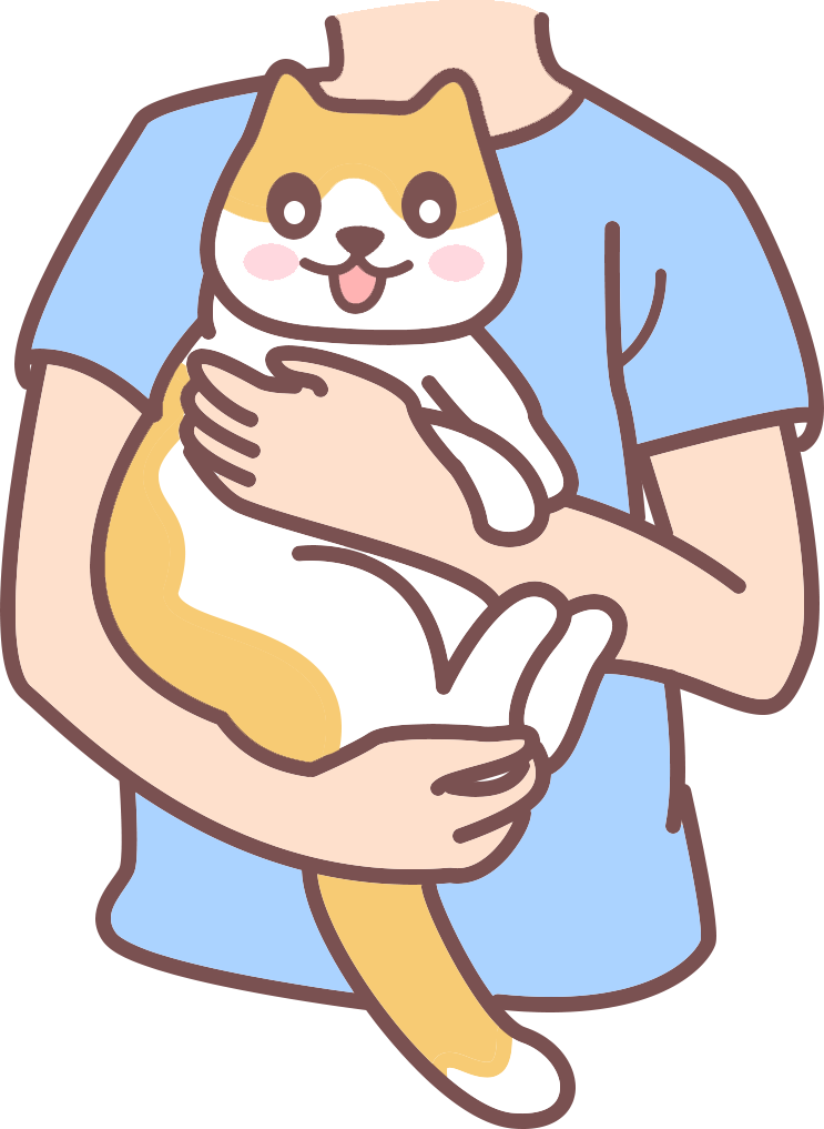 猫咪吐毛频繁怎么办