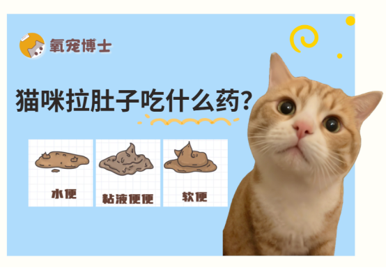 猫咪拉肚子吃什么药？