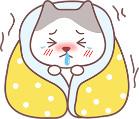 猫咪打喷嚏流鼻涕
