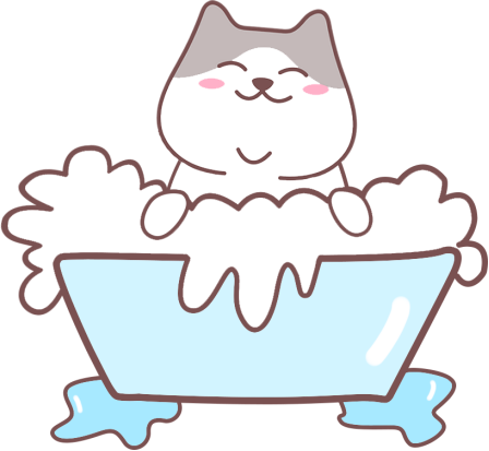 猫癣怎么治疗？