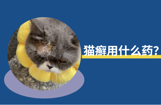 猫癣用什么药效果最好？