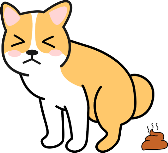 狗狗大便干硬怎么调理？