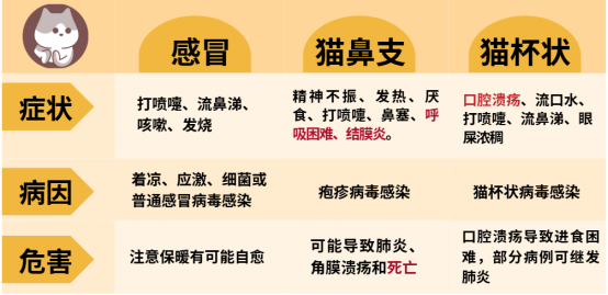 猫咪打喷嚏流黄鼻涕