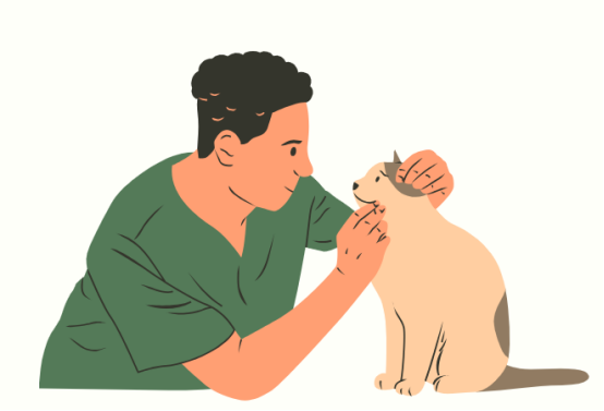猫咪打喷嚏流鼻涕怎么回事？