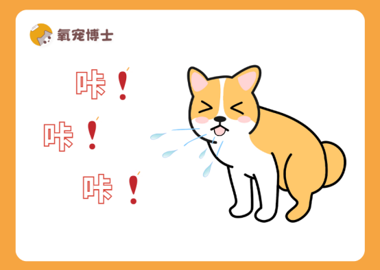 老狗狗一直咳嗽怎么回事？