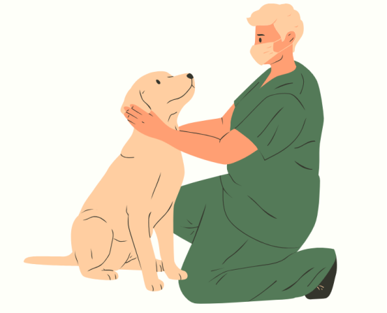狗狗流眼泪怎么办？
