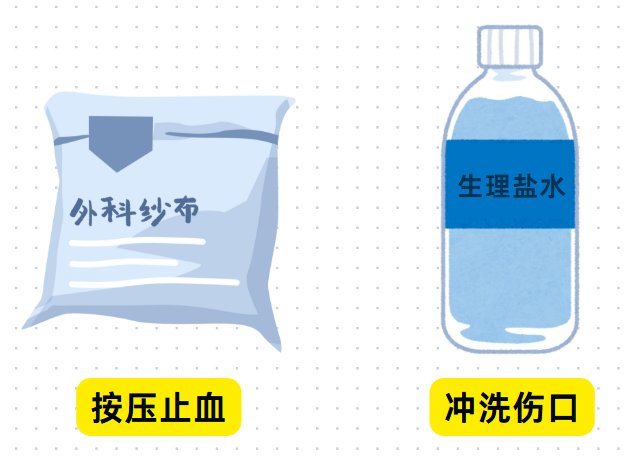 猫咪受伤怎么处理？