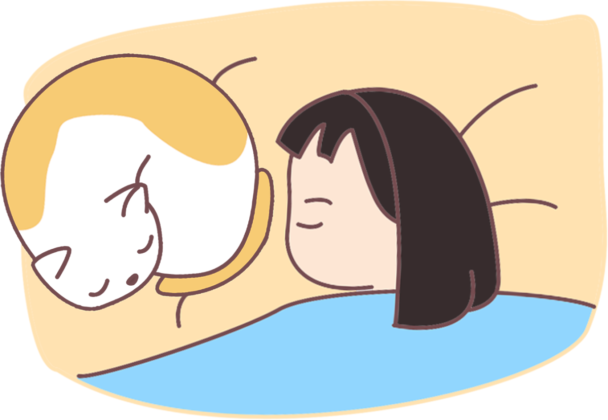 和猫咪一起睡觉